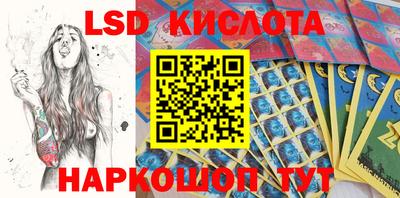 шишки Мирный