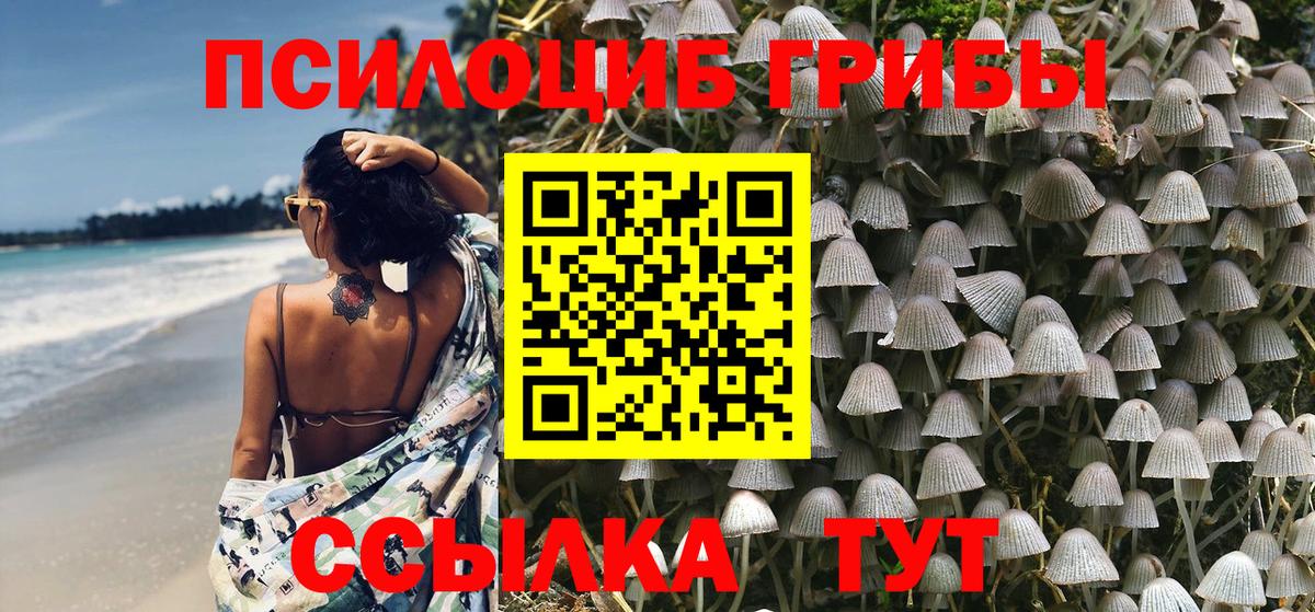 Нурлат  Псилоцибиновые грибы MAGIC MUSHROOMS  Галлюциногенные грибы мицелий  Вход с VPN 
