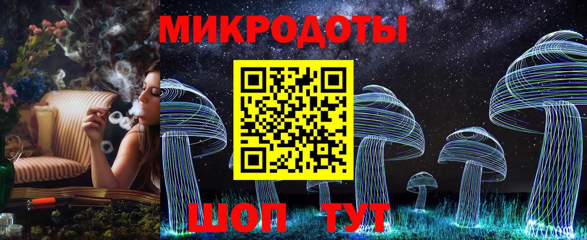 Псилоцибиновые грибы Cubensis Нурлат